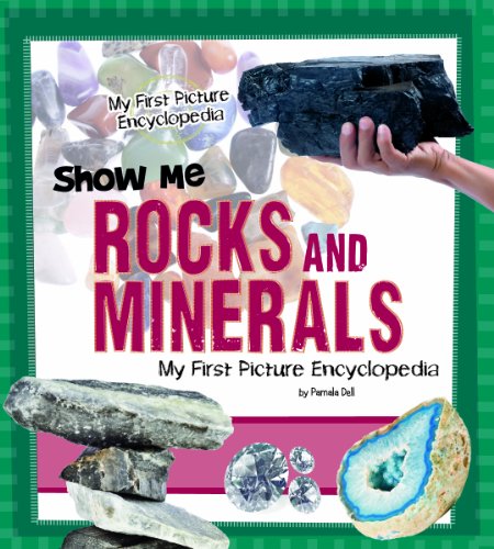 Show Me Rocks and Minerals (My First Picture Encyclopedias)