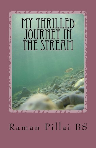 My Thrilled Journey in the Stream