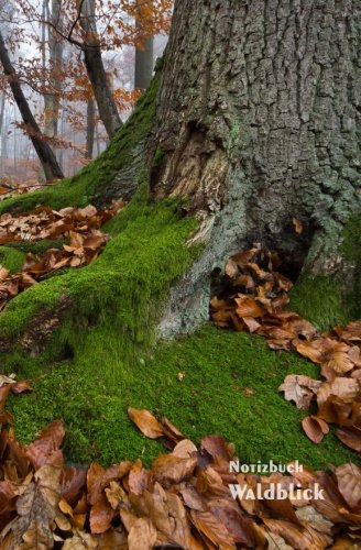 Notizbuch Waldblick: 5.25 x 8 Zoll (ca. A5), kariert, 94 Seiten