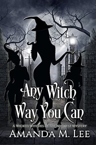 Any Witch Way You Can (Wicked Witches of the Midwest, Band 1)