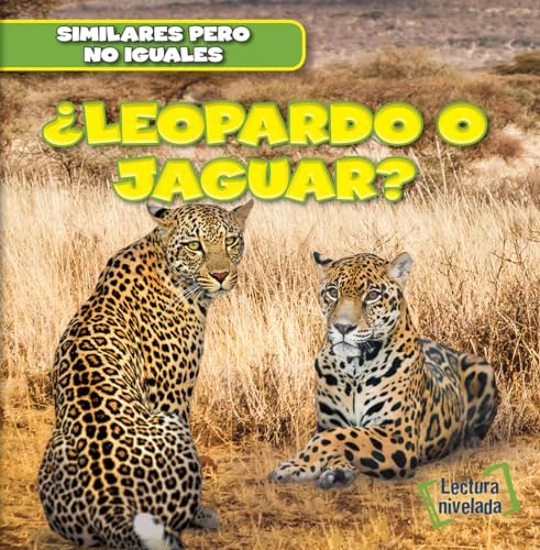 Leopardo o jaguar?/ Leopard or Jaguar?