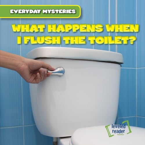 What Happens When I Flush the Toilet? (Everyday Mysteries)