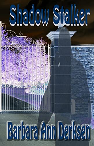 Shadow Stalker: The Finders Keepers Mystery Series - Book One