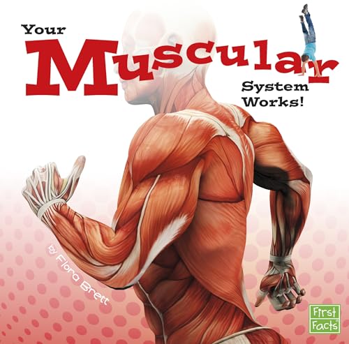 Your Muscular System Works!