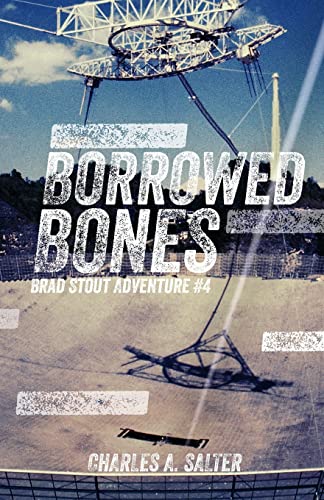 Borrowed Bones: Brad Stout Adventure #4 (Brad Stout Adventures)