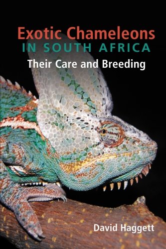 Exotic Chameleons in South Africa: Their Care and Breeding