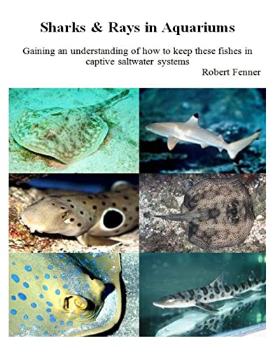 Sharks & Rays in Aquariums: Gaining an understanding of how to keep these fishes in captive saltwater systems (Aquarium Success)