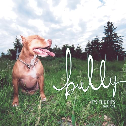 Bully: It's The Pits