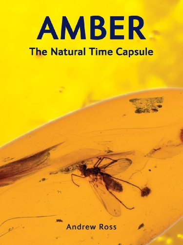 Amber: The Natural Time Capsule