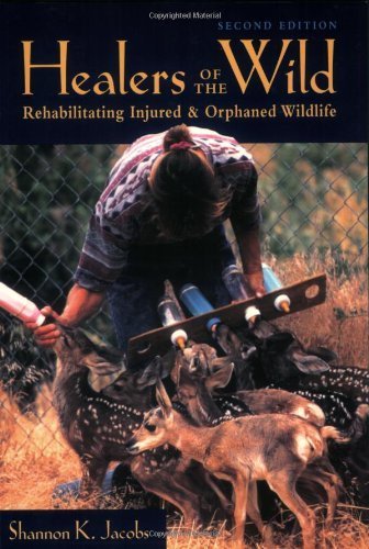 Healers of the Wild: Rehabilitating Injured and Orphaned Wildlife
