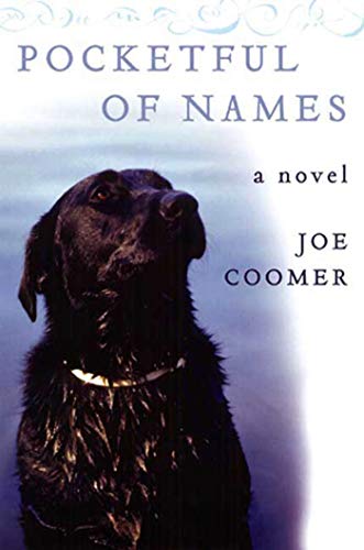 Pocketful Of Names: A Novel