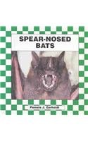 Spear-Nosed Bats