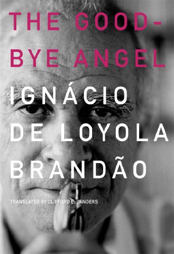 Good-Bye Angel: Honest Cheats Play Dirty Games Clean (Brazilian Literature)