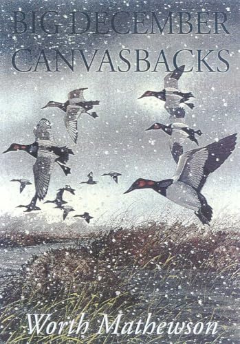 Big December Canvasbacks, Revised