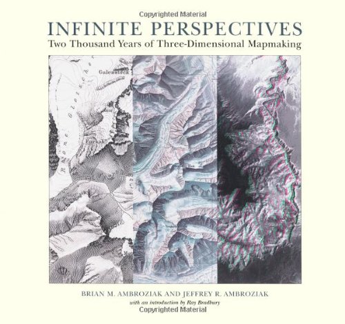 Infinite Perspectives /anglais
