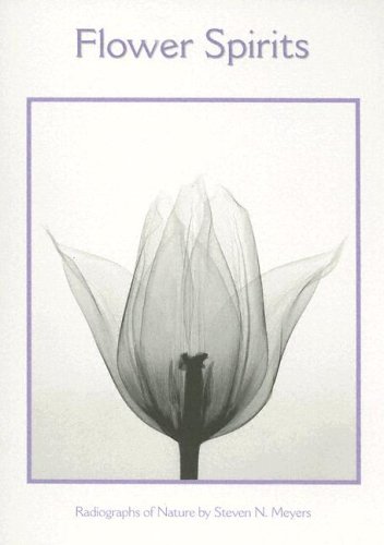 Flower Spirits Boxed Notecards