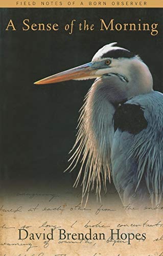 A Sense of the Morning: Field Notes of a Born Observer