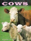 Cows: A Portrait of the Animal World