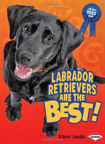 Labrador Retrievers Are the Best!