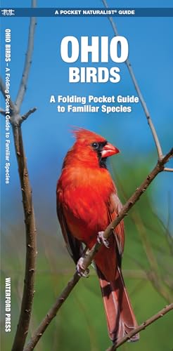Ohio Birds: A Folding Pocket Guide to Familiar Species (Nature Observation North America)