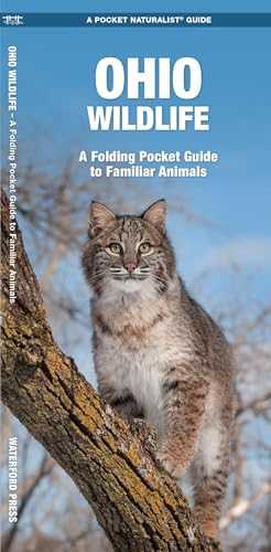 Ohio Wildlife: A Folding Pocket Guide to Familiar Animals (Nature Observation North America)