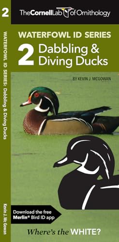 Cornell Lab of Ornithology Waterfowl ID Series: 2 Dabbling & Diving Ducks (Nature Observation North America)