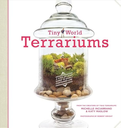 Tiny World Terrariums: A Step-by-Step Guide
