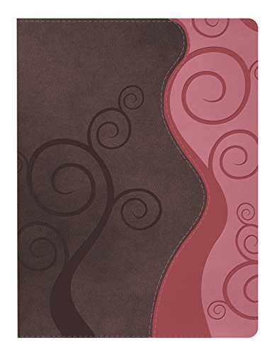 Apologetics Study Bible For Students, Espresso/Coral