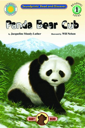 Panda Bear Cub