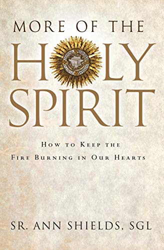 More of the Holy Spirit: How to Keep the Fire Burning in Our Hearts