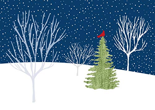 Midnight Cardinal Boxed Christmas Cards (Christmas Cards, Holiday Cards, Greeting Cards)