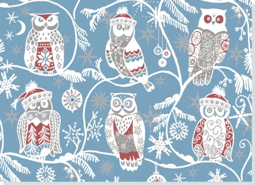 Santa Owls Deluxe Boxed Holiday Cards