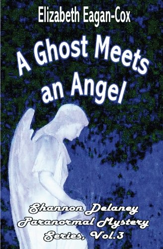 A Ghost Meets an Angel: Shannon Delaney Paranormal Mystery Series