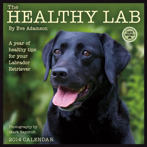 Healthy Lab 2014 Calendar