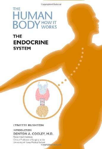 The Endocrine System (Human Body: How it Works)