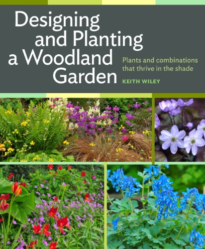 Designing and Planting a Woodland Garden