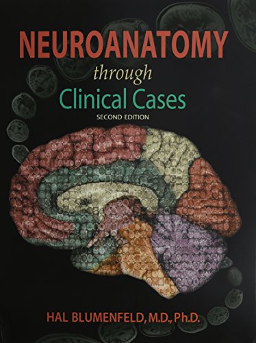 Neuroanatomy Through Clinical Cases