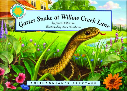 Garter Snake at Willow Creek Lane