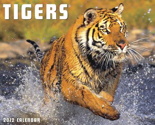 Tigers 2012 Calendar