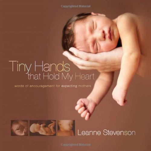 Tiny Hands That Hold My Heart: Words of Encouragement for Expecting Mothers