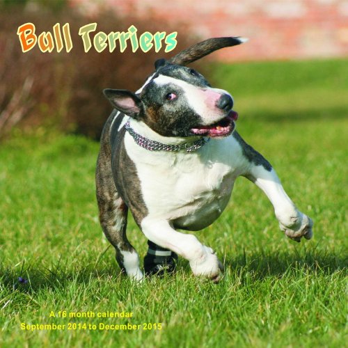 Bull Terriers Calendar - 2015 Wall calendars - Dog Calendars - Monthly Wall Calendar by Magnum