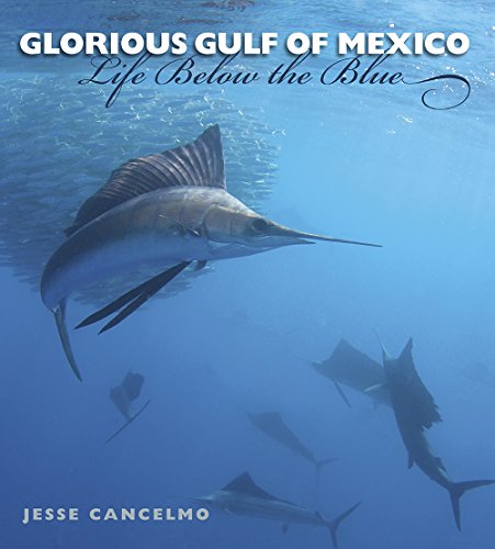 Glorious Gulf of Mexico: Life Below the Blue (Gulf Coast Books): 28