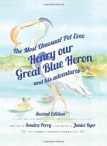 The Most Unusual Pet Ever: Henry Our Great Blue Heron and His Adventures