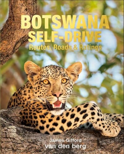 Botswana Self-Drive: Routes, Roads and Ratings