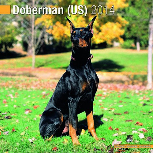 Doberman (US) 2014