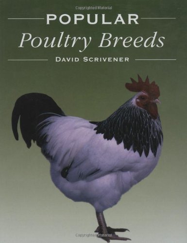 Popular Poultry Breeds