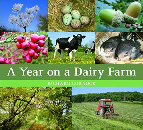 A Year on a Dairy Farm