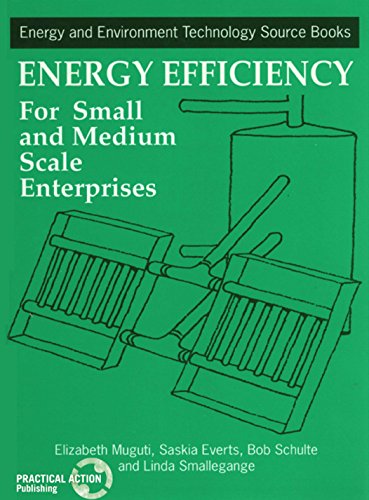 Energy Efficiency for Small and Medium Enterprises: 1 (Energy and Environment Technology Source Books)