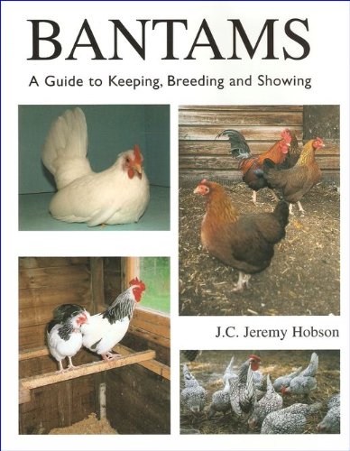 Bantams: A Guide to Keeping, Breeding and Showing