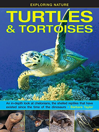 Exploring Nature: Turtles & Tortoises: An In-Depth Look At Chelonians, The Shelled Reptiles That Have Existed Since The Time Of The Dinosaurs